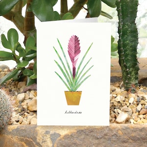 PLANTA TILLANDSIA - Tarjeta de felicitación con el cuidado de la planta, tarjeta con plantas, bromelia Tillandsia, tarjeta para amantes de las plantas, planta Tillandsia, tarjeta con plantas de interior
