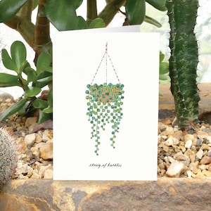 CUERDA DE TORTUGAS - Tarjeta de felicitación con el cuidado de las plantas, tarjeta con plantas, Peperomia Prostrata, tarjeta para amantes de las plantas, tarjeta botánica, tarjeta con plantas de interior