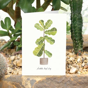 FIDDLE LEAF FIG - Tarjeta de felicitación con plantas, cuidado de plantas, Ficus Lyrata, tarjeta para amantes de las plantas, tarjeta botánica, tarjeta con plantas de interior