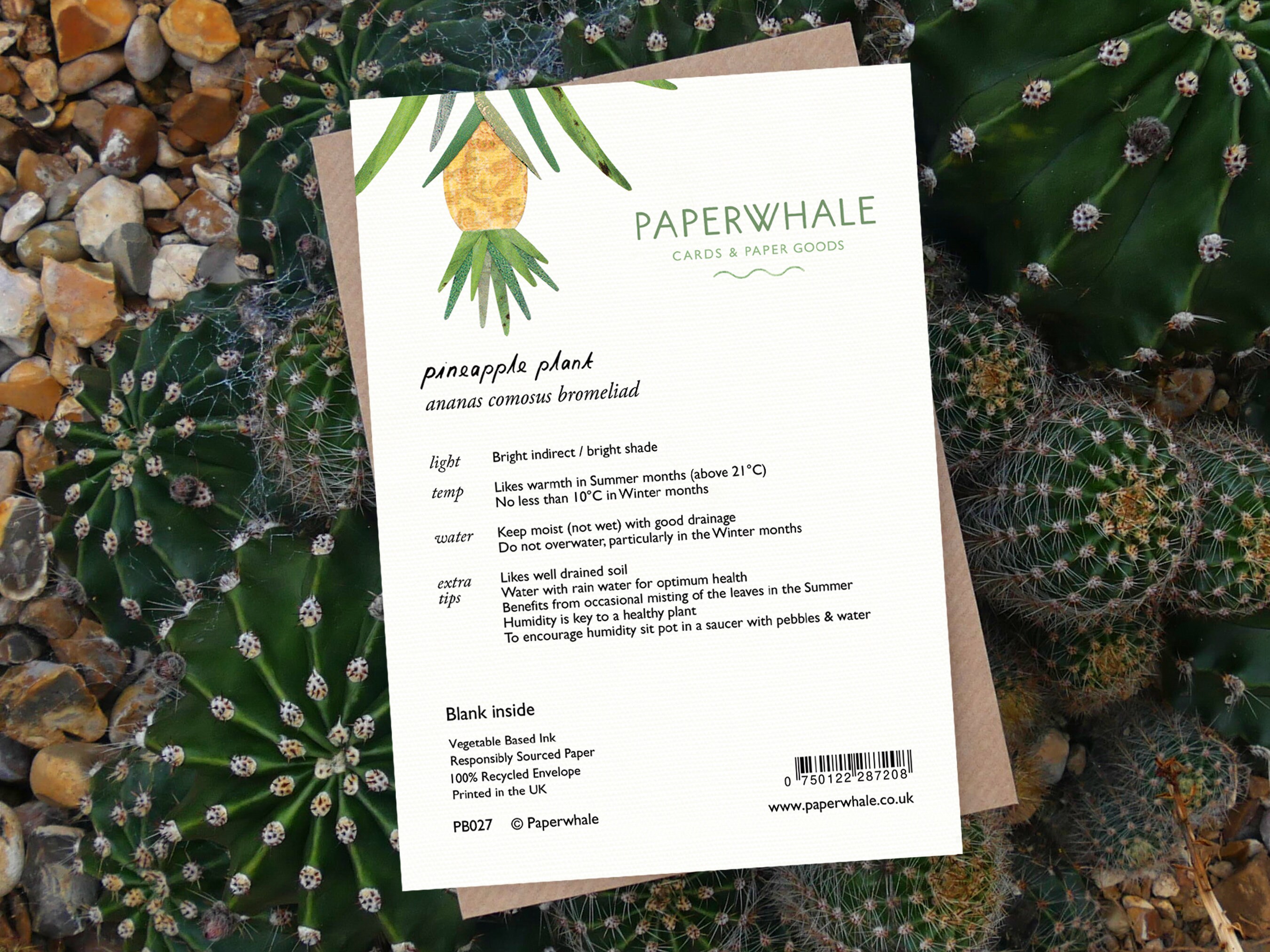 PINEAPPLE PLANT - Greeting Card With Plant Care, Plant Card, Ananas Comosus  Bromeliad, Plant Lover Card, Pineapple Plant, House Plant Card - Etsy