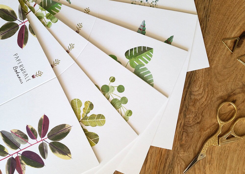 PACK OF 10 House Plant Greeting Cards with Plant Care Tips Etsy