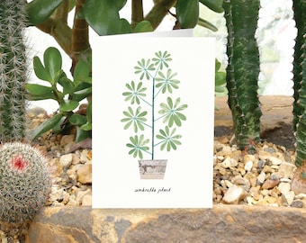 Tarjeta de felicitación con planta paraguas y consejos para su cuidado