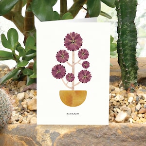 AEONIUM - Tarjeta de felicitación con el cuidado de las plantas, tarjeta con plantas, Aeonium arboreum, tarjeta para amantes de las plantas, tarjeta con suculentas, tarjeta con plantas de interior
