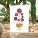 see more listings in the Cards - HOUSE PLANTS  section