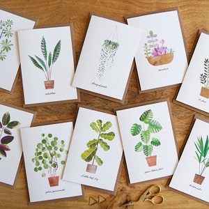 Juego de tarjetas con plantas de interior, paquete de 10 tarjetas de felicitación con el cuidado de las plantas, tarjeta con plantas, tarjeta para amantes de las plantas, tarjeta botánica, tarjeta con plantas de interior, juego de diez