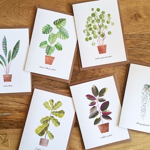 SET VAN 6 wenskaarten voor kamerplanten met tips voor het verzorgen van planten, plantenliefhebber cadeau, botanisch, tuinieren cadeau, tuinman cadeau, plantencadeau, set van 6