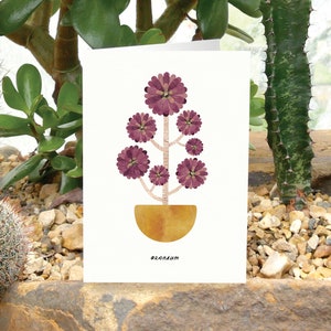 AEONIUM - Greeting Card with Plant Care, Plant Card, Aeonium Arboreum Card, Plant Lover Card, Succulent Plant, House Plant Card