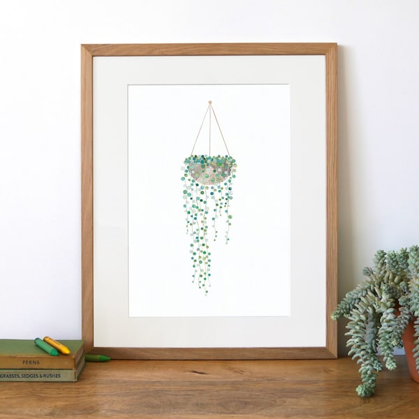 STRING OF PEARLS Print - Senecio Rowleyanus, String of Beads, Botanical Print, House Plant Gift, Plant Lover Gift, Collage, Illustration