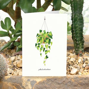 PHILODENDRON - Tarjeta de felicitación con plantas y cuidados, tarjeta con plantas, Philodendron Brasil, tarjeta para amantes de las plantas, tarjeta botánica, tarjeta con plantas de interior