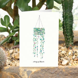 CADENA DE CORAZONES - Tarjeta de felicitación con plantas y cuidados, tarjeta con plantas, Ceropegia woodii, amante de las plantas, tarjeta del día de San Valentín, tarjeta con plantas de interior