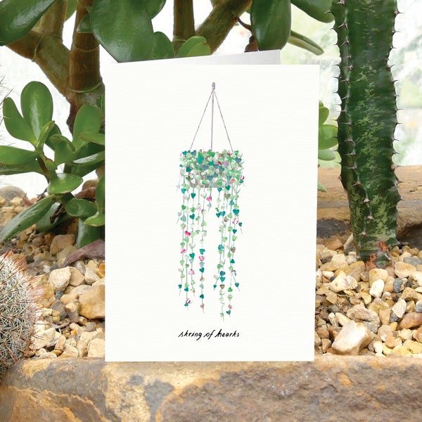 STRING OF HEARTS - Plant Greeting Card with Plant Care, Plant Card, Ceropegia Woodii, Plant Lover, Valentines Day Card, House Plant Card