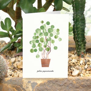 PILEA PEPEROMIOIDES - Tarjeta de felicitación con el cuidado de las plantas, tarjeta con plantas, tarjeta con pilea, planta china del dinero, tarjeta para amantes de las plantas, botánica, planta de interior