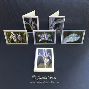 Wild Iris Karte Set