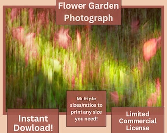 Fotografía abstracta de jardín de flores, naturaleza botánica, verde y rojo, descarga digital, licencia comercial imprimible.