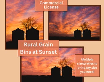 Fotografía de silos de grano rurales al atardecer (en color y blanco y negro) (descarga digital)