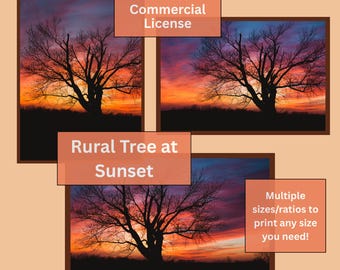 Fotografía impresa de silueta de árbol rural al atardecer (descarga digital)