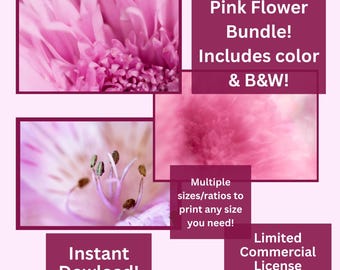 Pink Flower Photography Bundle: Macro, Abstract, Color & BW (Digital Download)