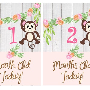Cartes d'étape de bébé imprimables, cartes d'étape de bébé de fille de safari, signe d'âge de bébé de mois par mois de bébé de jungle, cartes de bébé de singe imprimables