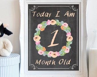 Pink Im Month Old Today Baby Girl Milestone Signs Chalkboard Month