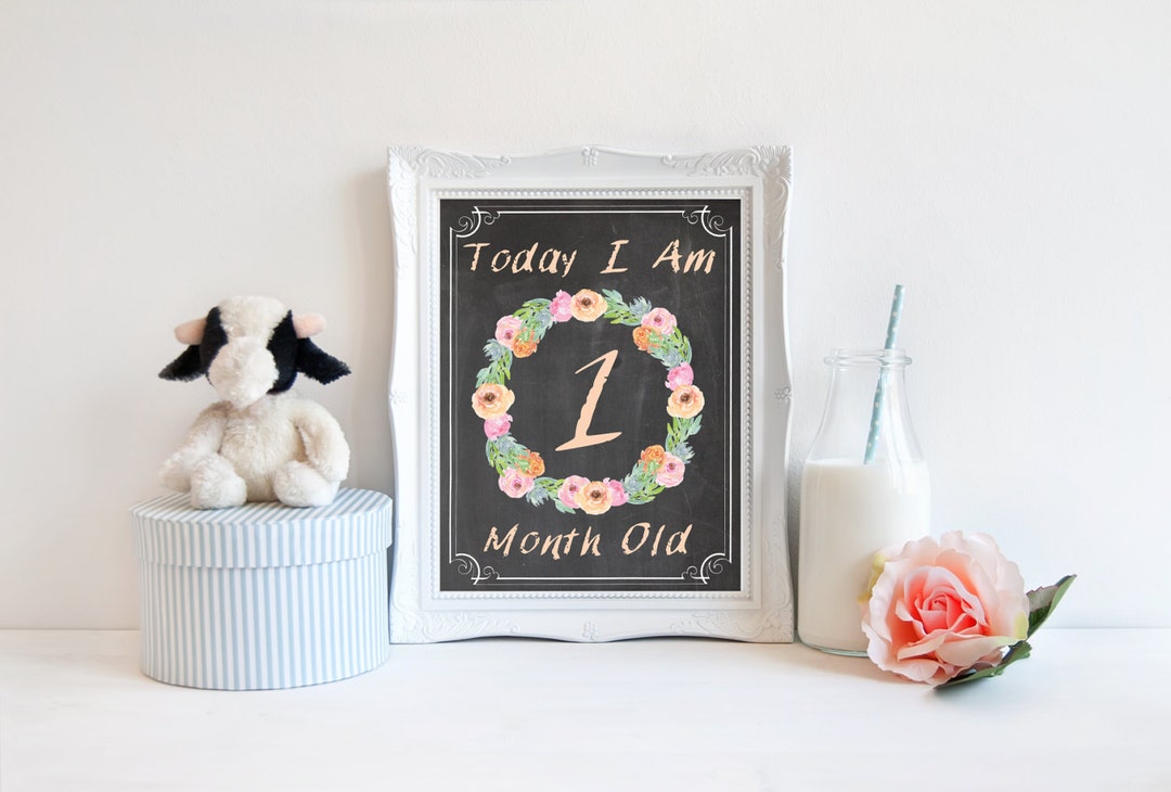 Baby Girl Milestone Signs Chalkboard Month by Month Baby Age Sign ...