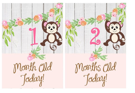 Printable baby milestone cards, safari Baby girl milestone cards, Jungle baby Month by Month baby age sign, Monkey baby cards Printable Il_570xn