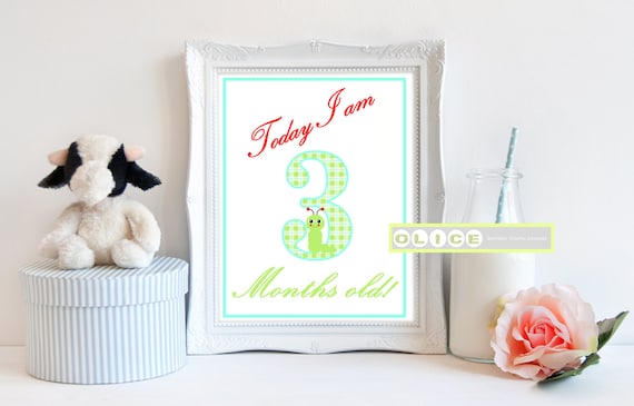 baby milestone, Month by Month Photo Prop, Printable Months, Gender neutral, Baby Month by Month, Baby Age Sign, Monthly Photo Prop, Il_570xn