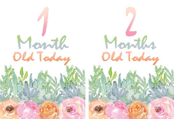 Baby milestone cards, floral watercolor cards, Month by Month baby age sign, baby girl Photo Prop, Printable Months, Baby Month by Month Il_570xn