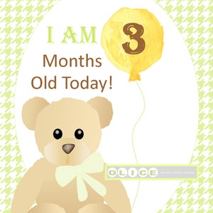 Cartes d’étape de bébé d’ours, signe d’âge de bébé mois par mois, accessoire photo de bébé garçon, mois imprimables, mois de bébé par mois.