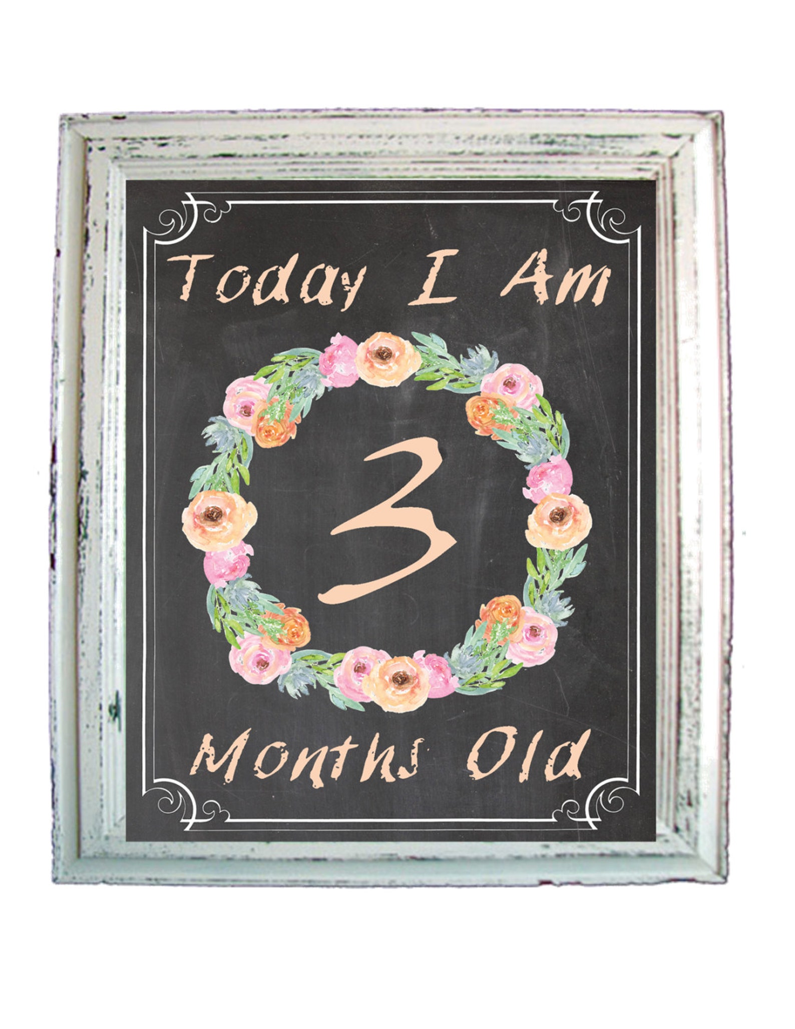 Baby Month by Month Baby Milestone Signs Chalkboard Baby Age Sign Baby ...