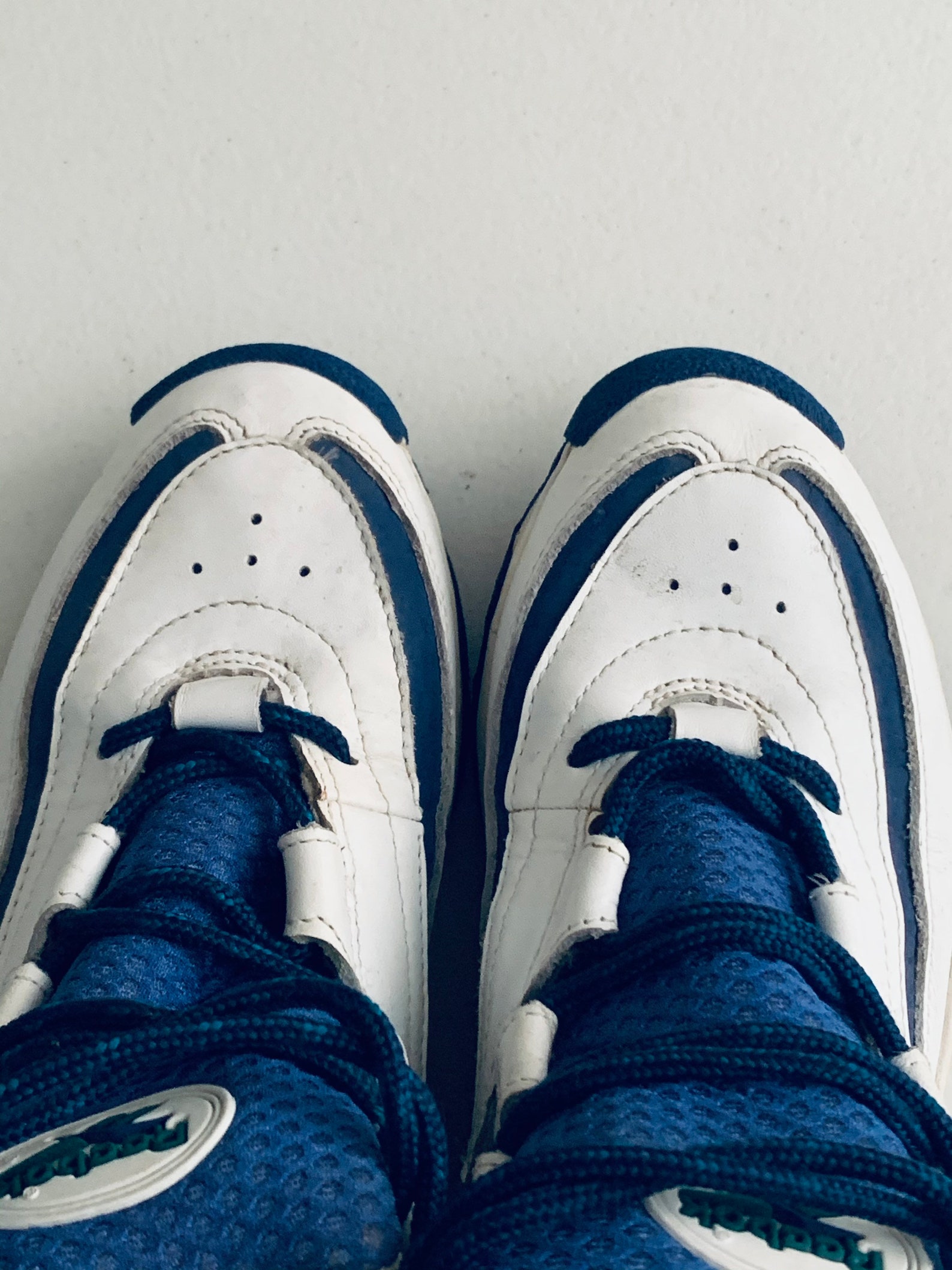 reebok hexalite basketball shoes