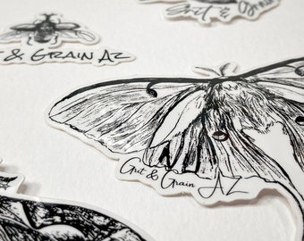 Paquete de pegatinas de polillas lunares: calcomanías de insectos vintage