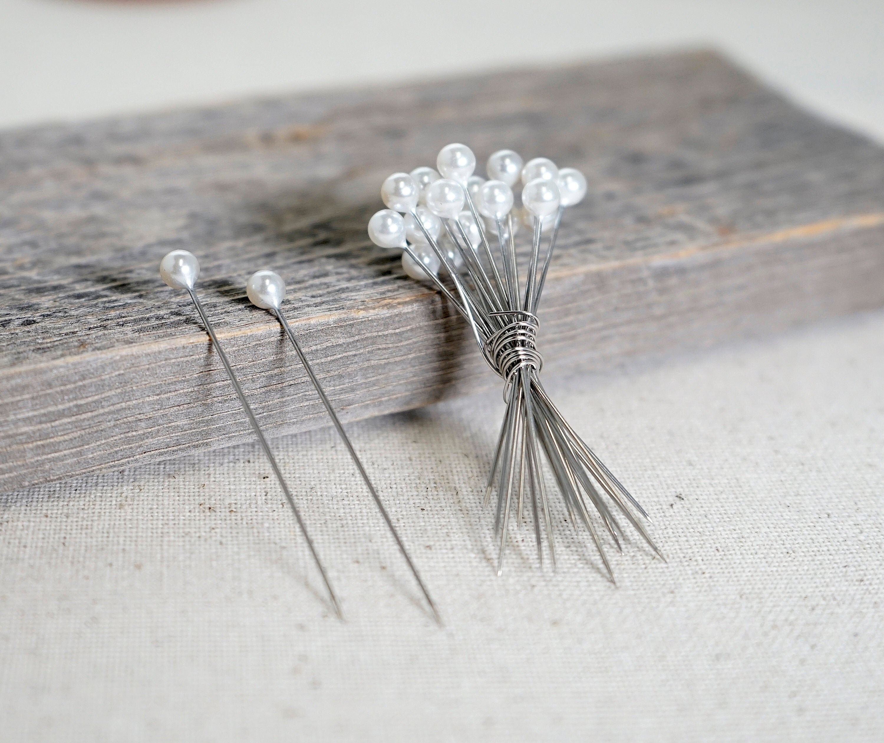 Insect Pins Entomology Pins Insect Taxidermy Supplies Etsy