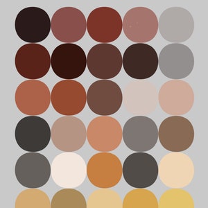May include: A colour palette with 25 different shades of brown, orange, beige, and grey. The palette is titled "Harmonie Any Spirit" and "couleur palette procreate".