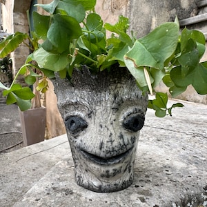 Peut inclure: Un pot en céramique blanche en forme de visage avec une texture craquelée et des détails noirs. Le pot est rempli de plantes vertes.