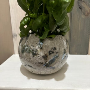 May include: A white ceramic planter with a crackled glaze and blue and black accents. The planter is filled with a green plant.