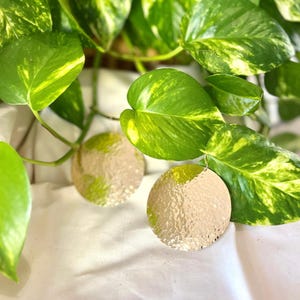Brass Disc Earrings // Oversized Earrings // Bohemian Earrings // Hammered Brass Earrings // African Earrings // Brass Boho Earrings