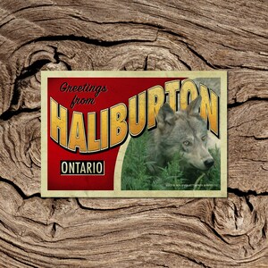 Grüße von Haliburton Ontario Postkarte