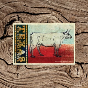 Texas The Lonestar State Postcard