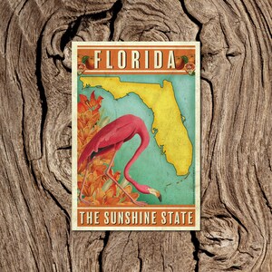 Florida The Sunshine State Postkarte