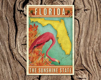 Florida The Sunshine State Postcard