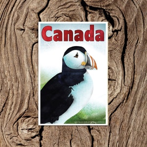 Kanada Papageientaucher Postkarte