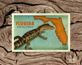 Florida, USA Postcard