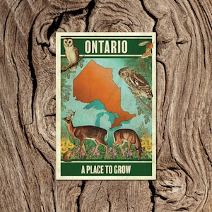 Ontario a Place to Grow Postcard