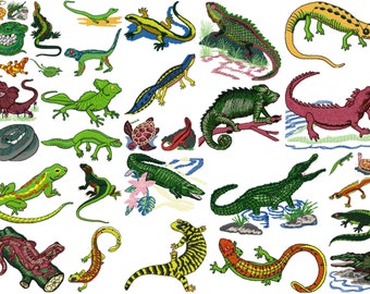 REPTILE designs for embroidery machine, instant download