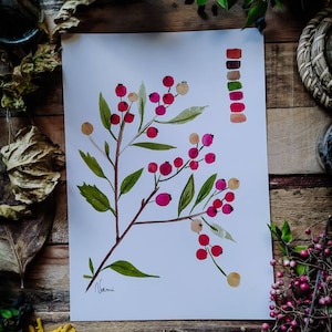 Feuille aquarelle Baies