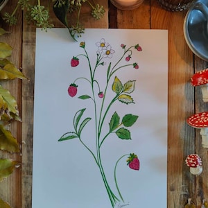 Six illustrations variées