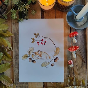 Six illustrations variées
