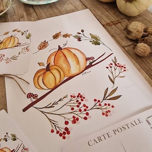 Neuf cartes postales différentes