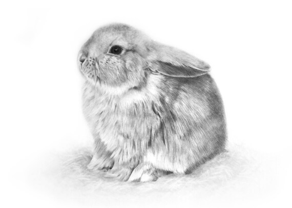 Bunny Baby Greeting Card Baby Rabbit Birthday Thank You Etsy