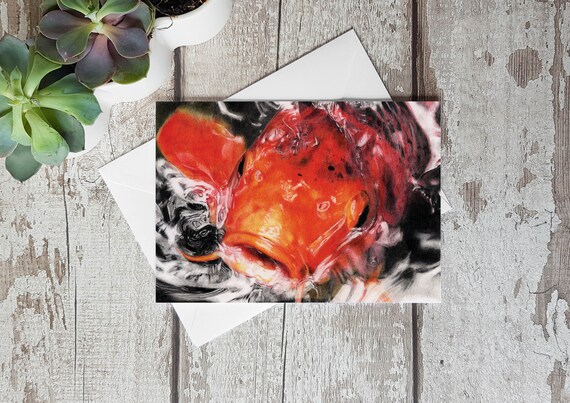 Carte De Voeux Koi Carp Carte Danniversaire De Poisson Etsy Carte De Voeux Koi Carp Carte Danniversaire De Poisson Etsy